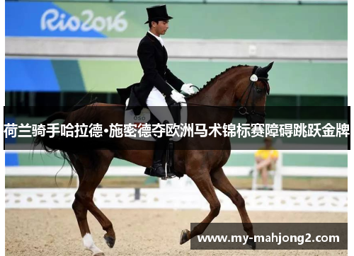 荷兰骑手哈拉德·施密德夺欧洲马术锦标赛障碍跳跃金牌