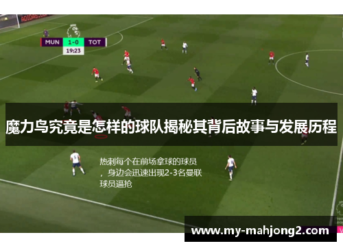 魔力鸟究竟是怎样的球队揭秘其背后故事与发展历程
